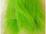 Fluo zelená